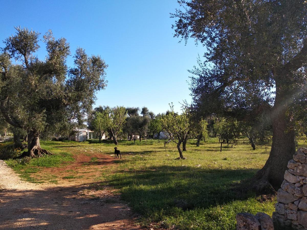 Piccolo Trullo Ostunese Le Jardin De Sophie' Остуни Экстерьер фото